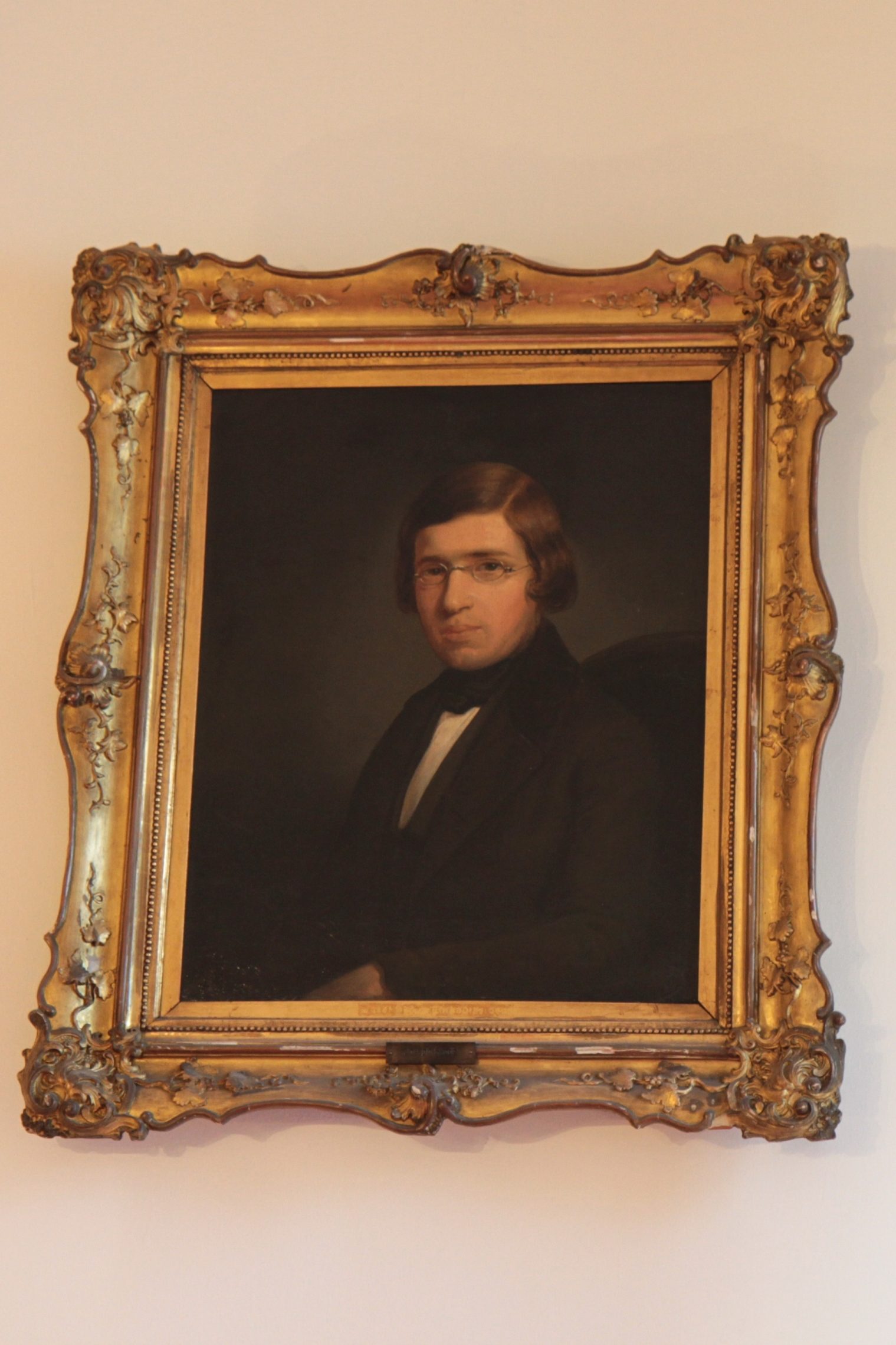 Joseph Skoda's portrait, Billrothhaus, Vienna (134).JPG